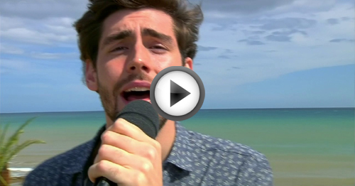 animal alvaro soler significato